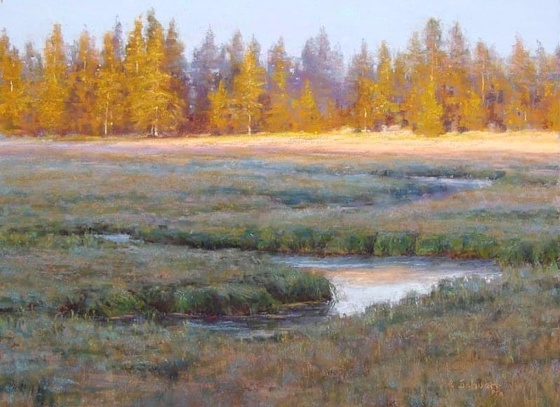 Aaron Schuerr
