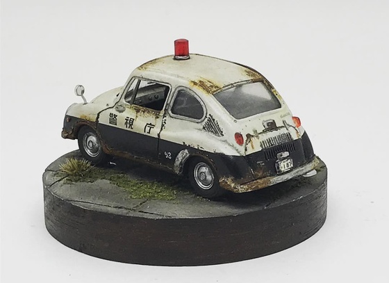 raphael truffi bortholuzzi brazil