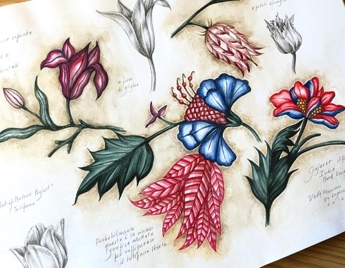 Gallery of Drawing by GiacoMina Ferrillo-Italy