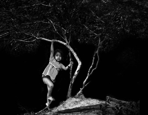 Gallery Of Photography By Edgar Kanaykõ Xakriabá - Brazil