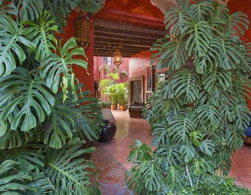 mexican architecture jim zuckerman