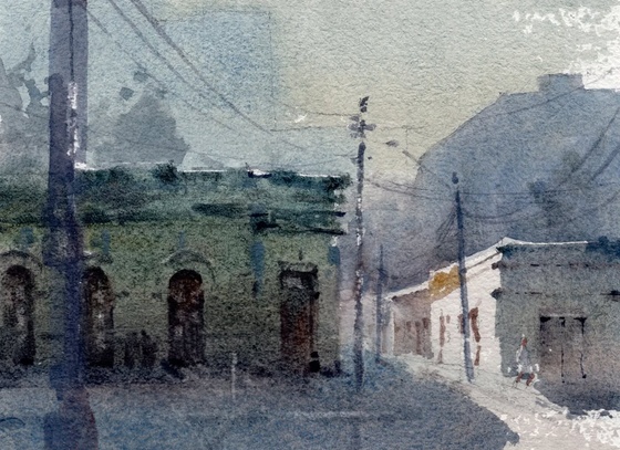gonzalo ibanez vargas