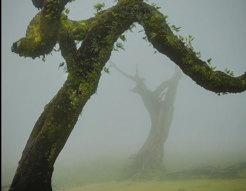 Galería de fotografía de Jorge Reinaldo - Portugal