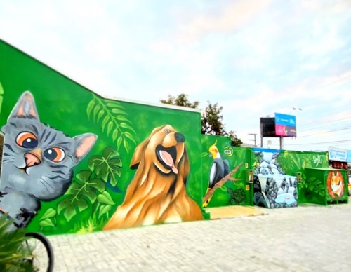Gallery Of Street Art By Berejuk - Brazil