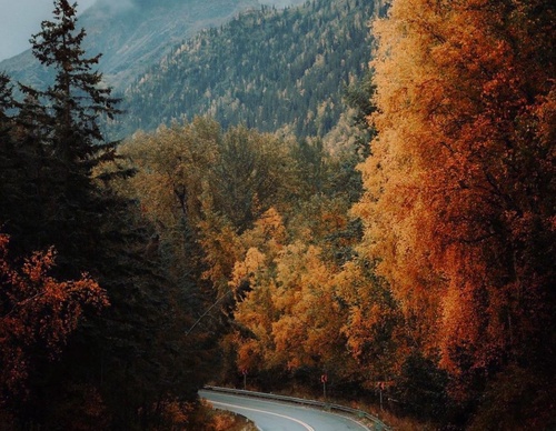Gallery Of Photography By Chris Henry - USA