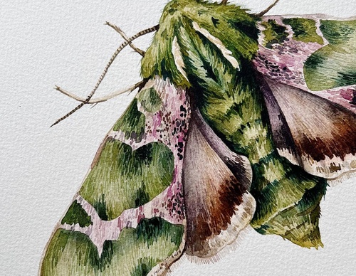 Gallery Of Painting By Rita Gould - United Kingdom