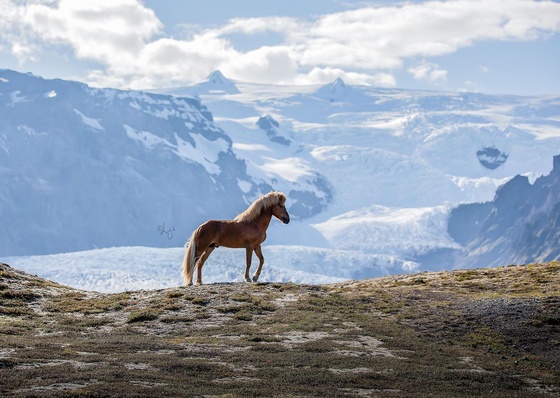 Gallery of photography by Liga Liepina - Iceland