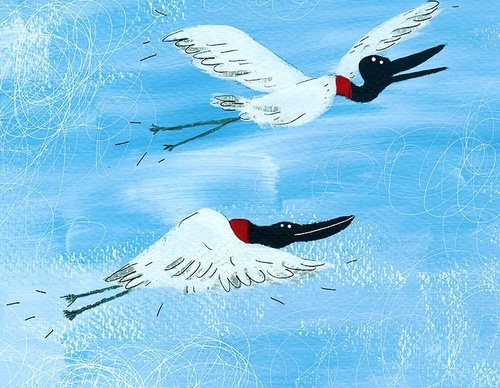 Gallery of Illustration By Dipacho from Colombia