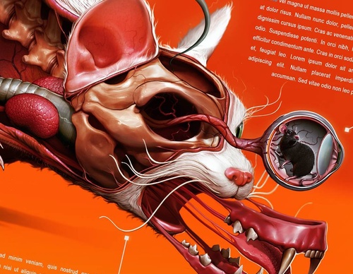 Gallery Of Illustration By Lambuja - Brazil
