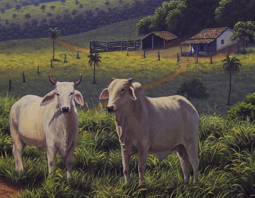 Gallery Of Painting By Amauri Jr- Brazil