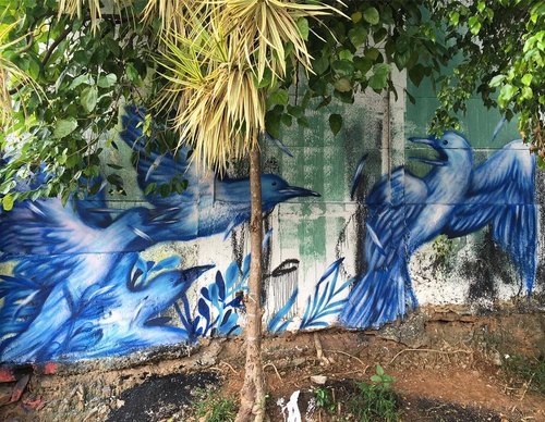 Gallery Of Street Art By Bailon - Brazil