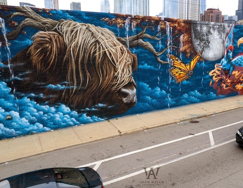 Gallery Of Street Art By Kiptoe - Argentina
