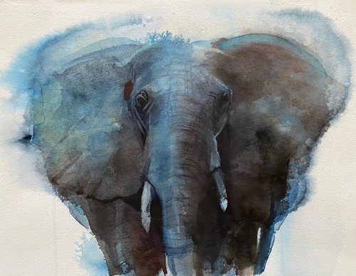 Gallery of Watercolor painting by Anette Gustafsson-Sweden