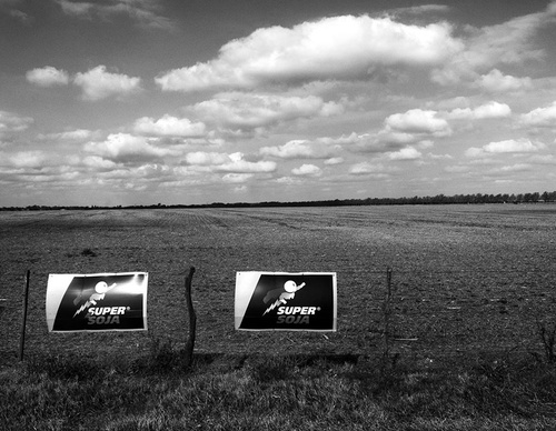 world press photo