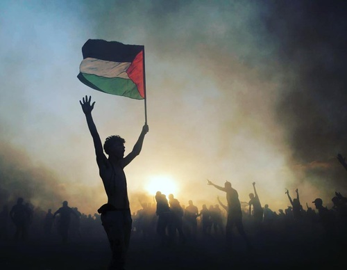 Galería de fotografías de Mohammed Zaanoun - Palestina
