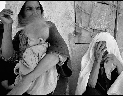 leonard freed
