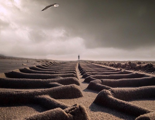william smith