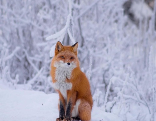 Gallery Of Photography By Patrick Thun - Alaska
