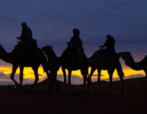 Galeria De Fotografia De Sebastian Gil Miranda - Argentina