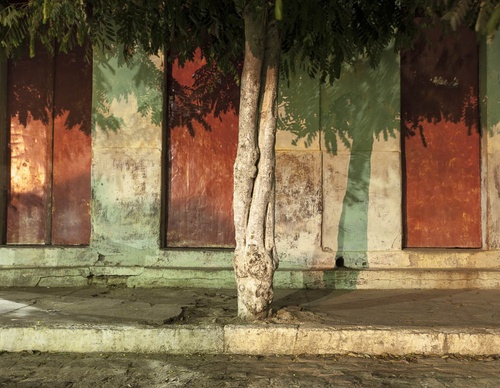 Gallery of photography by Gustavo Bettini-Brazil