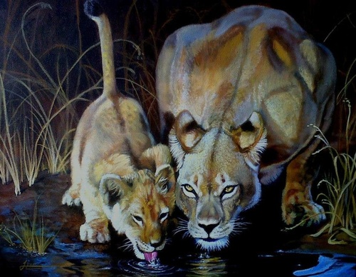 jorge castrillon