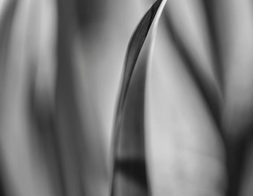 Galería de fotografía de Patricio Rodríguez - Argentina