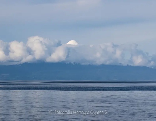 Gallery Of Photography By Homayra Oyarce G - Chile