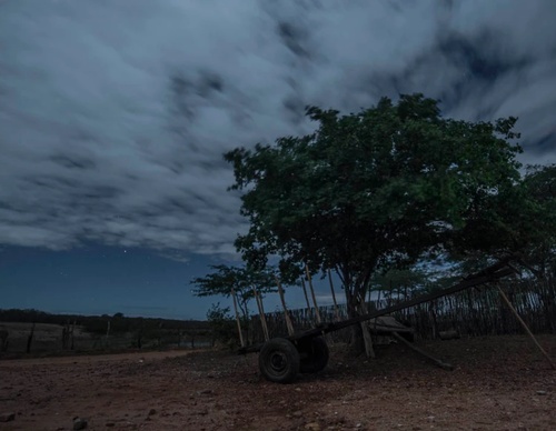 Gallery of photography by Gustavo Bettini-Brazil