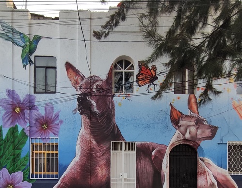 Galería de arte callejero de Nashi Bime - México