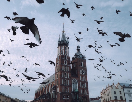 Galeria de Fotografia de Thomas Kakareko - Alemanha
