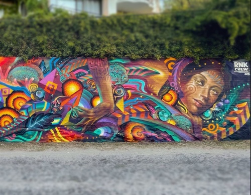 Gallery Of Street Art By Zhot Rnk  - Mexico