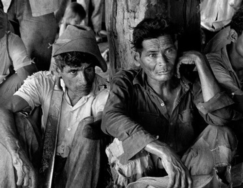 cornell capa