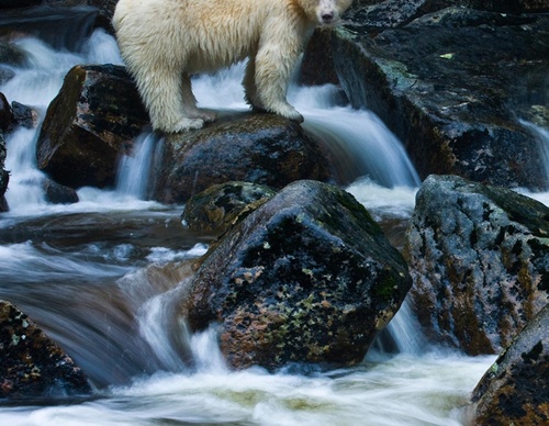 Galeria de Fotografia de Cristina Goettsch Mittermeier - México