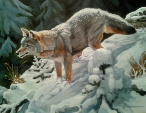 jorge castrillon