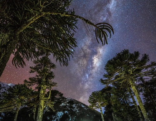 Gallery Of Photography By Fernando Gudenschwager - Chile