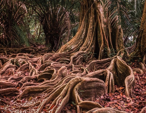 Gallery Of Photography By Fernando Faciole - Brazil