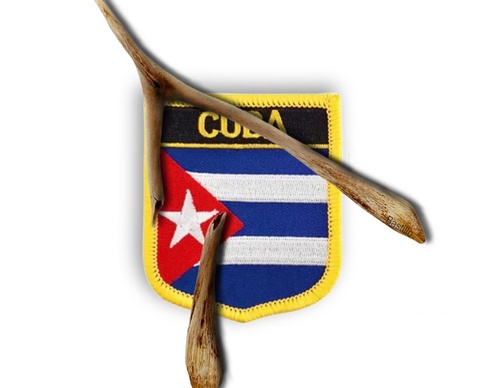 cesar castillo