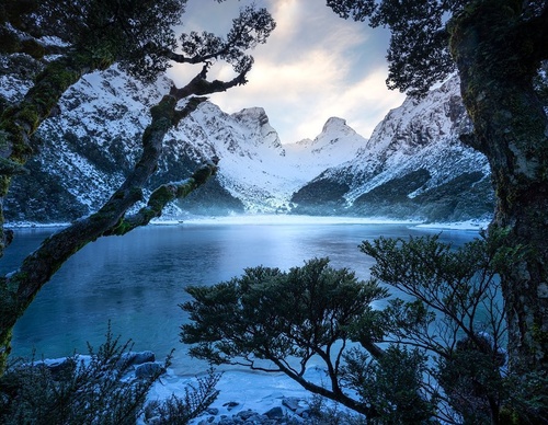 Galeria de fotografias de William Patino - Nova Zelândia