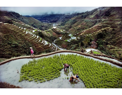 Galería de fotografía de Steve McCurry - Estados Unidos