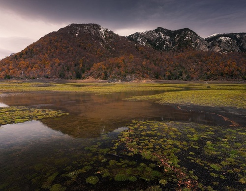 Gallery Of Photography By Rodrigo Viveros - Chile