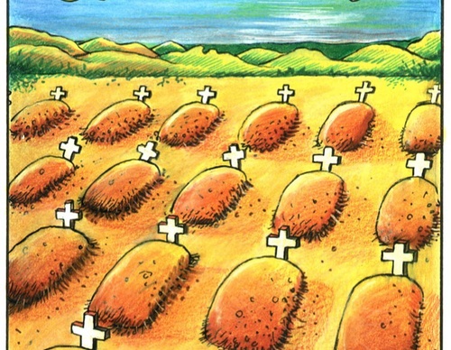 Galería de caricaturas de Arnaldo Angeli Filho-Brasil
