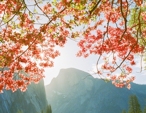 Galeria de fotografias de Nathaniel Wise - EUA