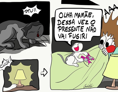 claudia stella resende