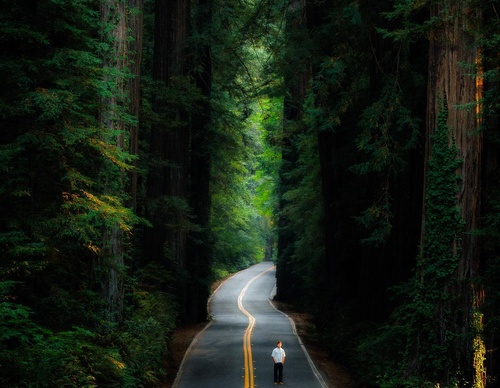 Gallery Of Photography By Luke - United Kingdom