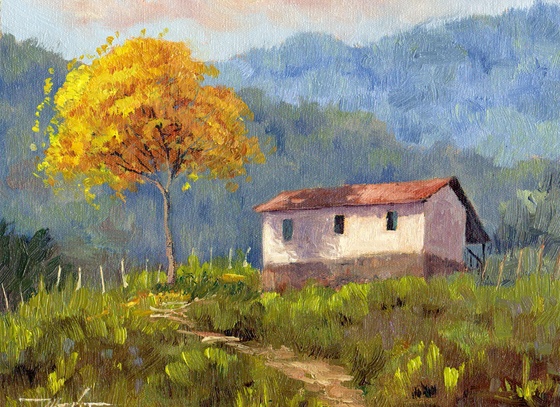 mario sergio freitas