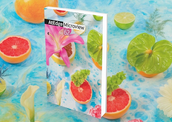 AtEdge Microview Nº 62