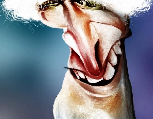 Gallery of Caricature by Gentil - Brazil