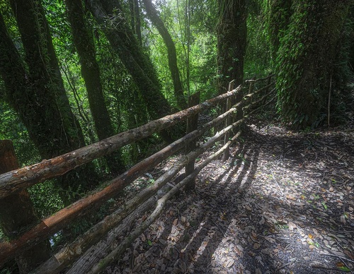 Gallery Of Photography By Jaime Garcés - Chile