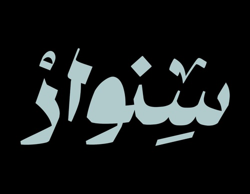 basheer asalieh