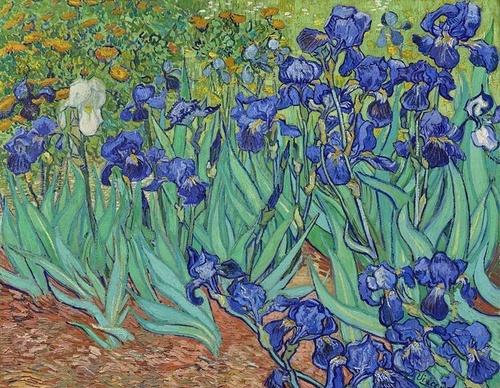 Painting Gallery by Vincent van Gogh-Netherlands